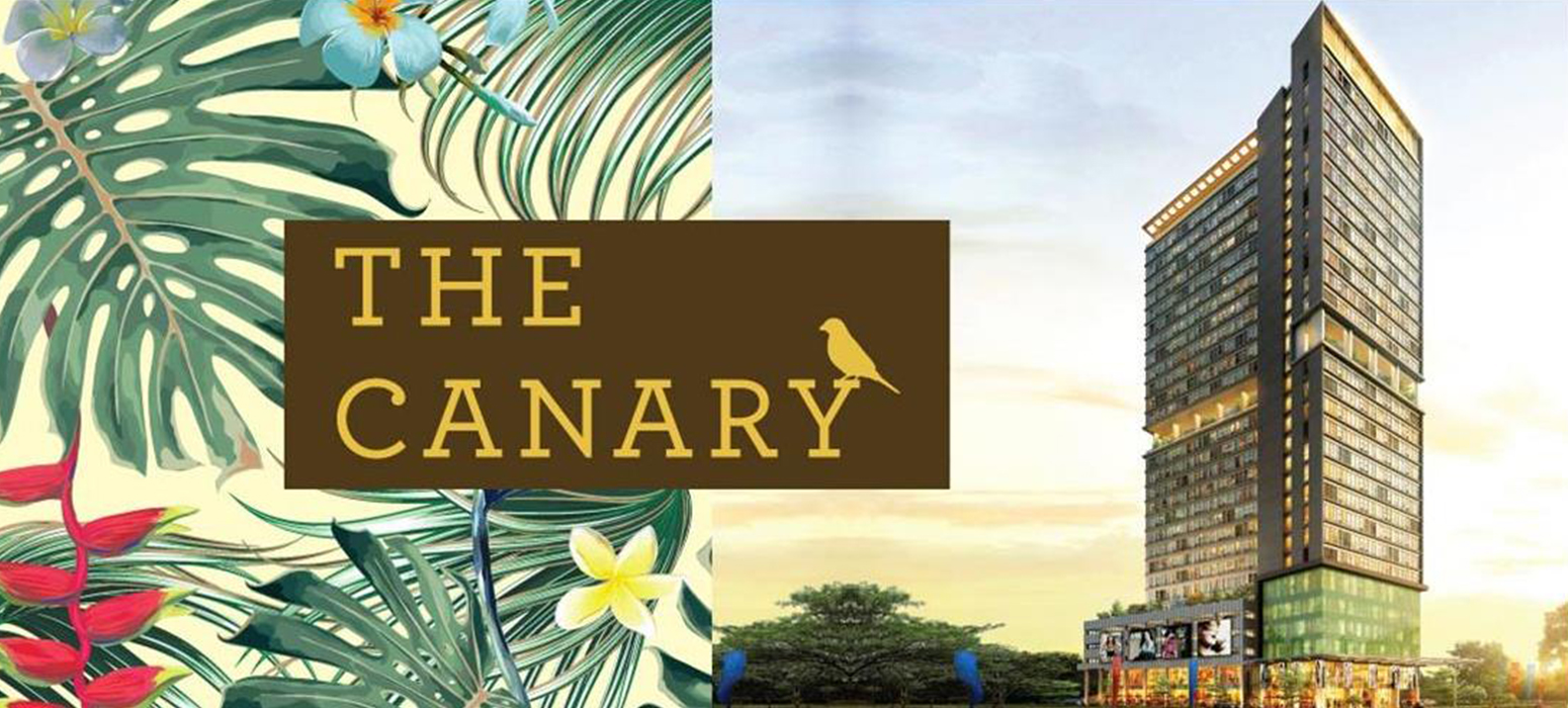 The Canary Main 2